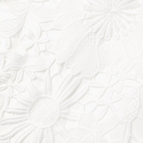 Milly Nessa 3D Lace Minidress - Picture 3 of 5